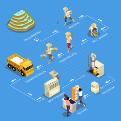 Isometric rice production flowchart Royalty Free Vector