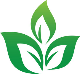 S letter eco logo green leaf carving 3d realistic Vector Image