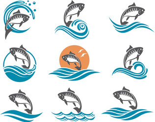 Set of river fish marks carp Royalty Free Vector Image