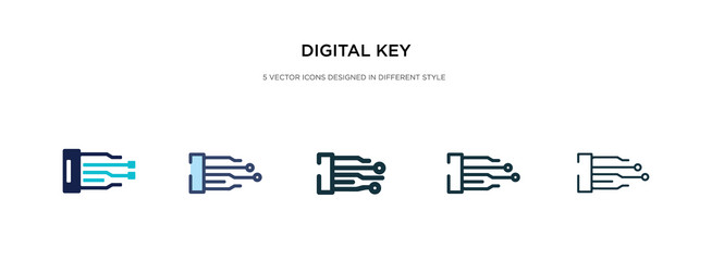 digital key icon in different style two colored vector image