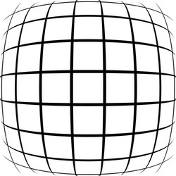 grid mesh lattice with distortion warp effect vector image