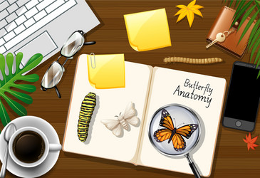 top view office work table with elements vector image