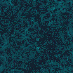 topographic map background concept with space vector image
