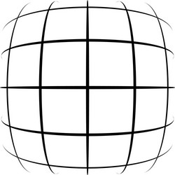 grid mesh lattice with distortion warp effect vector image