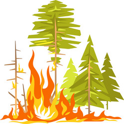 Forest fire poster Royalty Free Vector Image - VectorStock