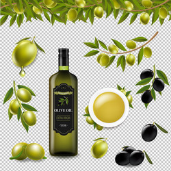 big set with branch olives and virgin olive vector