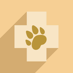 flat with shadow icon and mobile application vector image
