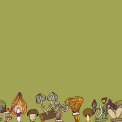 Seamless border of different mushrooms vector