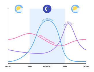 Sleep wake cycle Royalty Free Vector Image - VectorStock