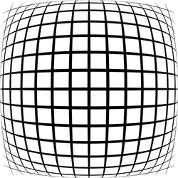 grid mesh lattice with distortion warp effect vector image