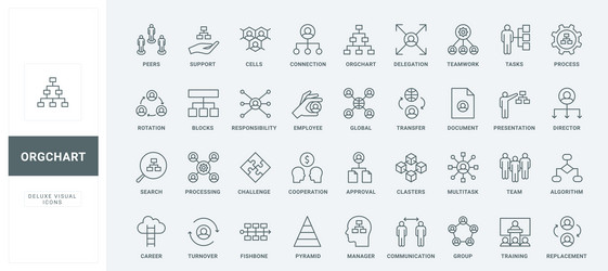 structure and hierarchy of corporate company org vector image