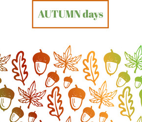 Autumn Leaves and Acorns Vector Image