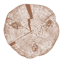 Wood texture of cutted tree trunk Royalty Free Vector Image