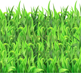 Green grass realistic background Royalty Free Vector Image