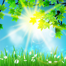 Summer background with sky and grass vector