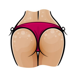 Women booty in a swimsuit vector