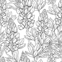 Floral seamless pattern lupine flowers and leaves vector