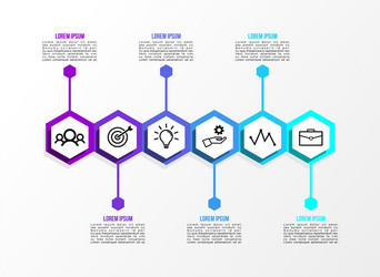 infographic design template with options steps vector image