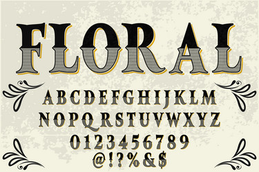Elegant Script Font - Black & Gray vector image