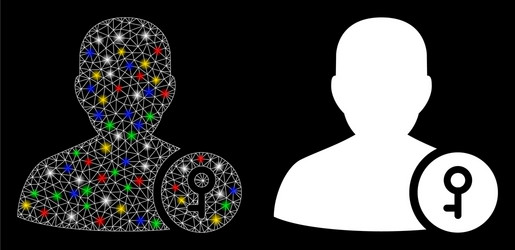 glossy mesh network user key icon with light spots vector image