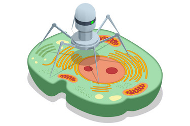 isometric nanorobot is designed to interact vector image
