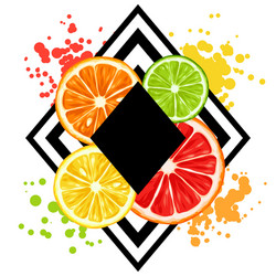 Print with citrus fruits slices mix of lemon lime vector