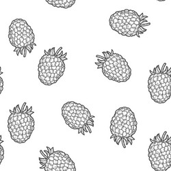 raspberry isolated berry seamless pattern vector image