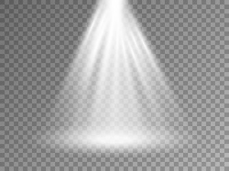 light effect on transparent background realistic vector image