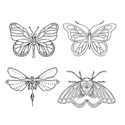 set of linear butterflies monochrome vector image