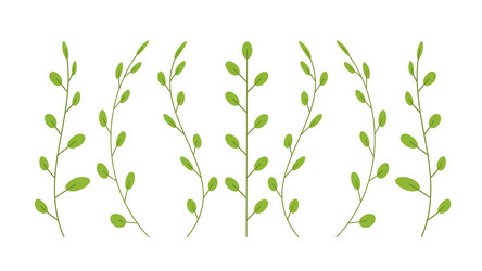 Botanical floral set green plants branches vector