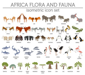 Flat 3d isometric africa flora and fauna map vector