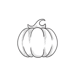 pumpkin sketch icon vector