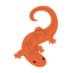 Red spotted newt with orange color skin wild vector