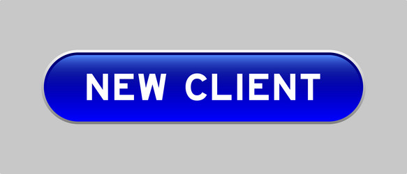 blue color capsule shape button with word new vector image