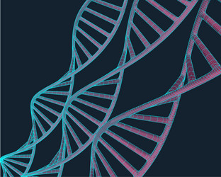 grey dna with polygon line on blue background vector