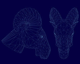 two ram head wireframe front and side view vector image