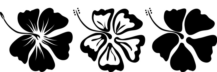 Set of hibiscus flowers Royalty Free Vector Image