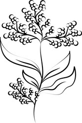 Floral Branch Line Art Vector Image