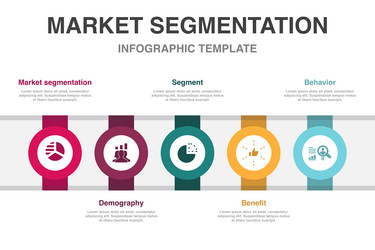 market segmentation demography segment benefit vector image