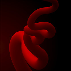 abstract fluid line gradient flow design vector image