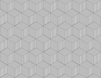 abstract geometric pattern with lines vector image