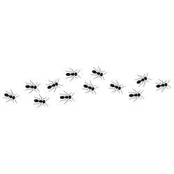 a path of ants running up view from above ant vector image