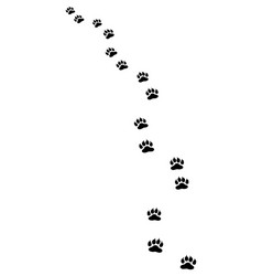 footprints of dog Vector Image
