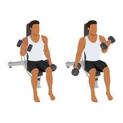 man doing seated alternating bicep twist curl vector image