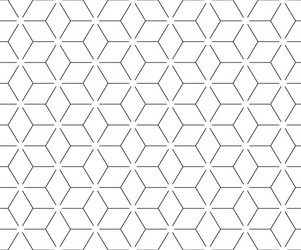abstract geometric pattern with lines vector image