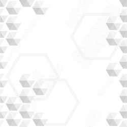 abstract geometric pattern with gray hexagons vector image