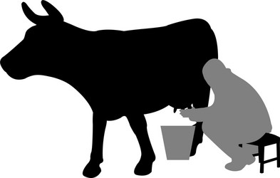 milking Vector Image
