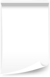 White blank sheet of curled paper isolated vector