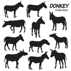 Donkey Silhouette Collection Vector Image