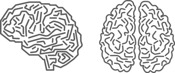 Brain top and side view digital human Royalty Free Vector